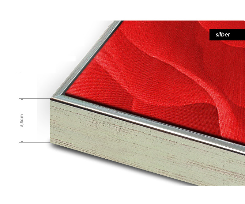 Schattenfugenrahmen silber xxl